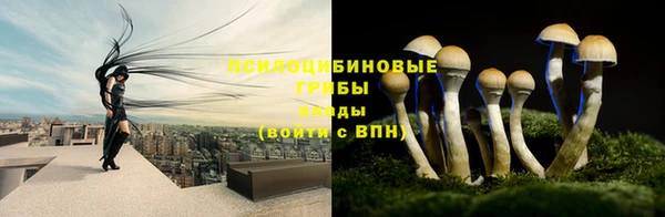 шишки Лиски