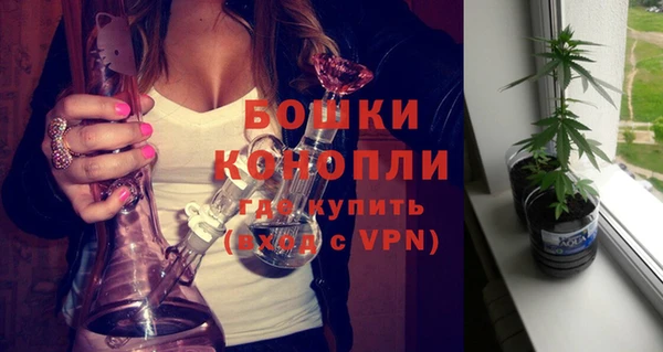 шишки Лиски