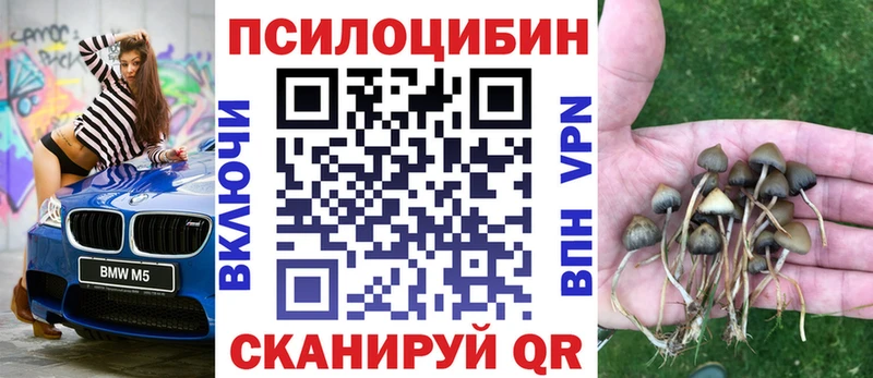Псилоцибиновые грибы мухоморы Купить закладки Омск
